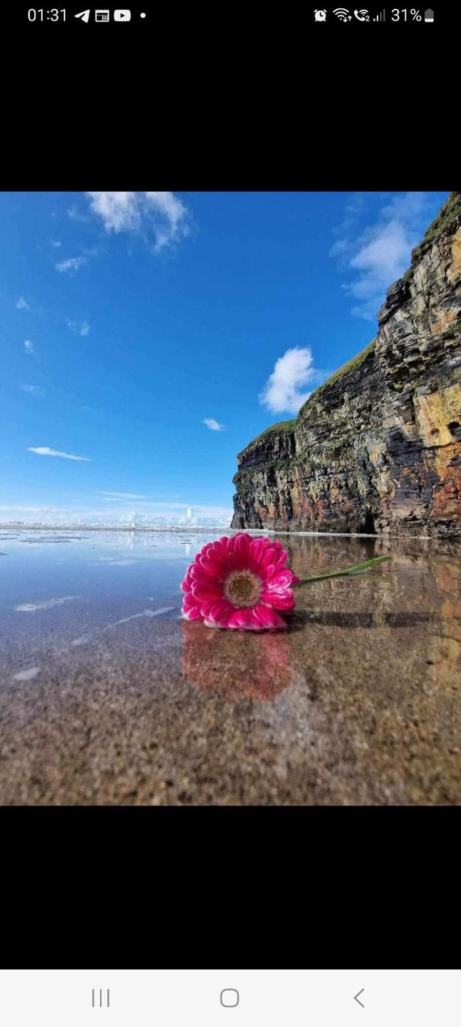 Luxury Holiday Rental With Sea Views On The Wild Atlantic Way 트롤리 외부 사진